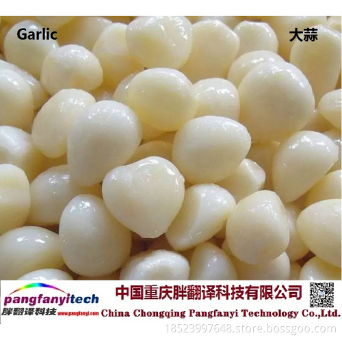 Natural Nutritional Healthy Tasty Self-planted  Garlic